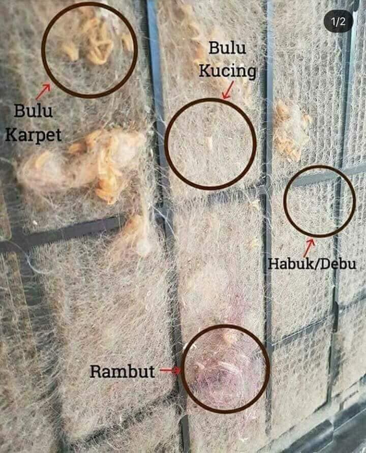 penapis udara menapis habuk dan bulu